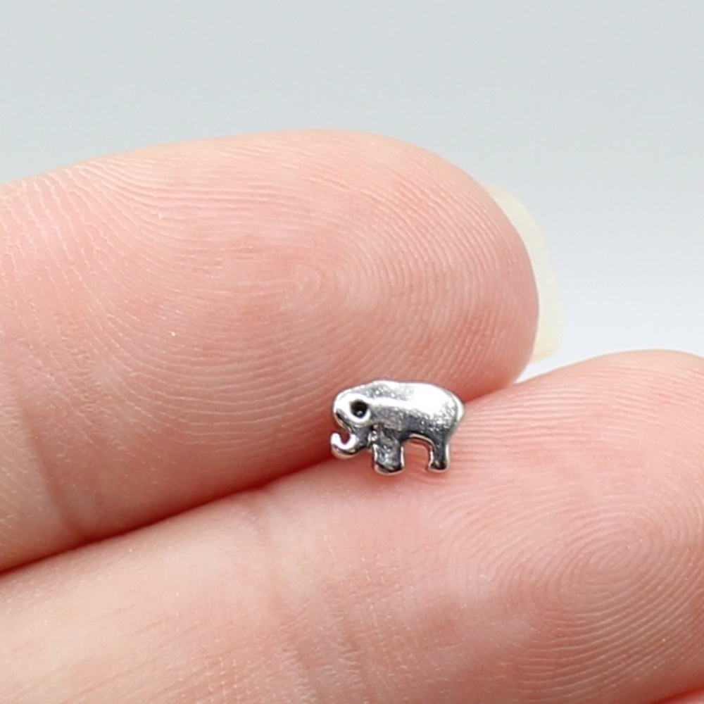 Claire's elephant nose stud